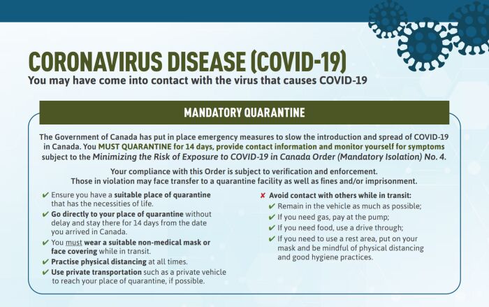 A poster containing some of the public health guidelines related to COVID-19 published by Canada’s Public Health Agency.