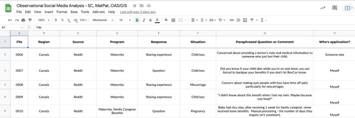 Screenshot of Observational Social Media Research spreadsheet